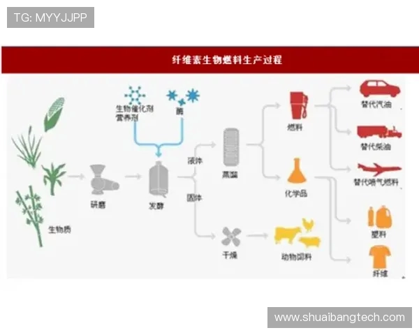 马德里竞技整体协作提升方向与未来发展目标分析