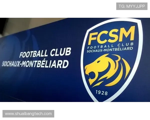 法甲外援比赛关键数据与整体影响力表现分析报告